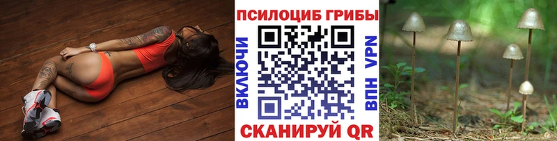 Псилоцибиновые грибы прущие грибы  Ставрополь 
