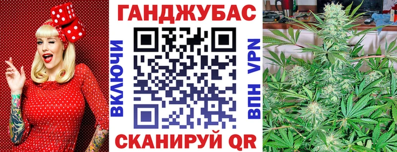 МАРИХУАНА ГИДРОПОН  как найти   Ставрополь 